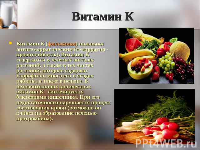 Витамин К (филохинон) называют антигеморрагическим (геморрагия - кровоточивость). Витамин К содержится в зеленых листьях растений, а также в тех частях растений, которые содержат хлорофилл, много его в ягодах рябины, а также в печени. В незначительн…