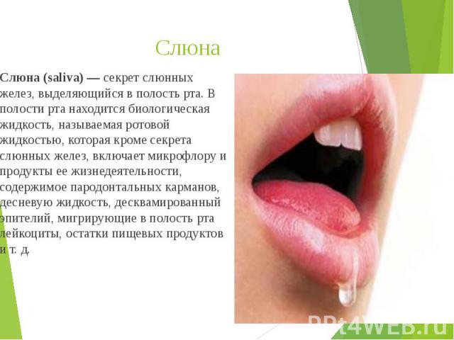 Слюна Слюна (saliva) — секрет слюнных желез, выделяющийся в полость рта. В полости рта находится биологическая жидкость, называемая ротовой жидкостью, которая кроме секрета слюнных желез, включает микрофлору и продукты ее жизнедеятельности, сод…