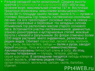 Рельеф западной части низкогорный. Средние высоты хребтов (Ильменского и Ишкульс