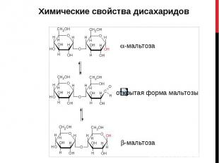 Химические свойства дисахаридов Химические свойства дисахаридов