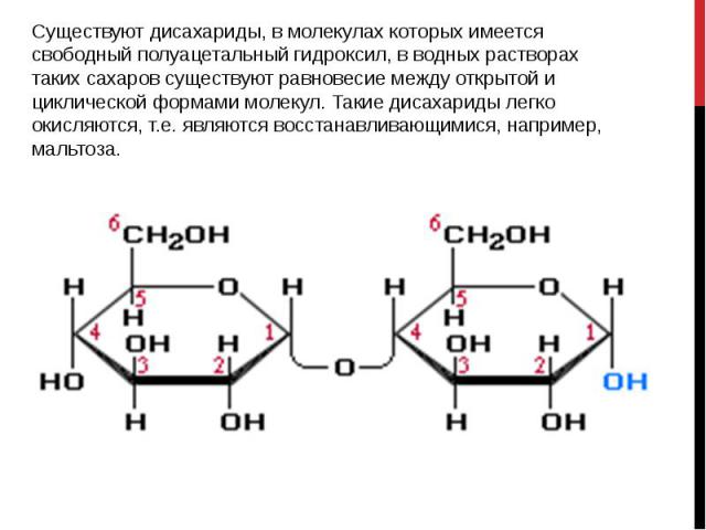 Существуют дисахариды, в молекулах которых имеется свободный полуацетальный гидроксил, в водных растворах таких сахаров существуют равновесие между открытой и циклической формами молекул. Такие дисахариды легко окисляются, т.е. являются восстанавлив…