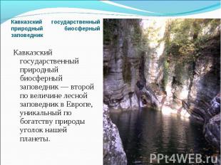 Кавказский государственный природный биосферный заповедник — второй по величине