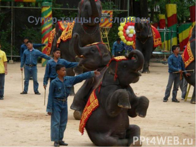 Супер-танцы со слонами.