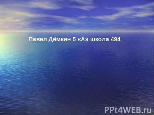 Павел Дёмкин 5 «А» школа 494