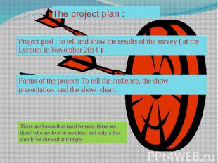 The project plan :