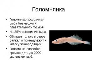 Голомянка-прозрачная рыба без чешуи и плавательного пузыря, Голомянка-прозрачная