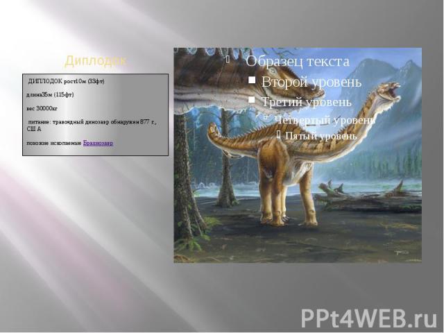  ДИПЛОДОК рост10м (33фт) длина35м (115фт) вес 30000кг питание: травоядный динозавр обнаружен 877 г., США похожие ископаемые Брахиозавр 