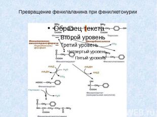 Превращение фенилаланина при фенилкетонурии&nbsp;