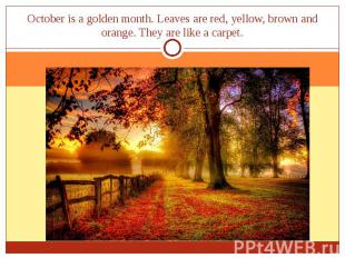 October is a golden month. Leaves are red, yellow, brown and orange. They are li