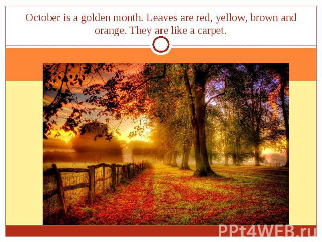 October is a golden month. Leaves are red, yellow, brown and orange. They are like a carpet.