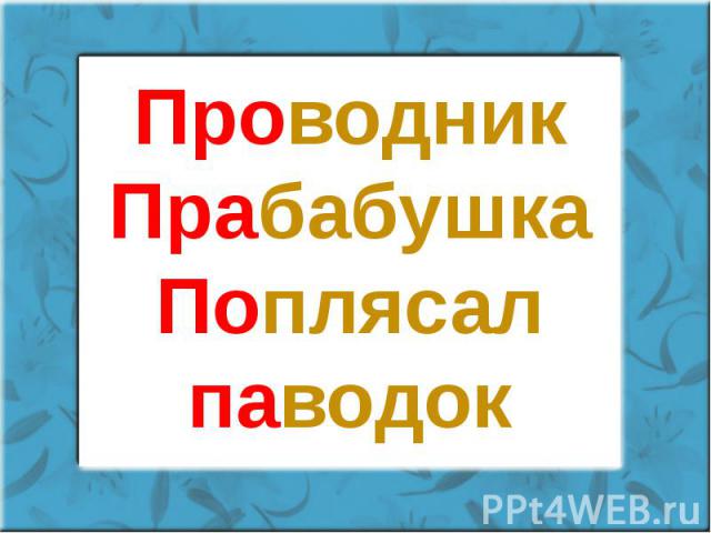 Проводник Прабабушка Поплясал паводок