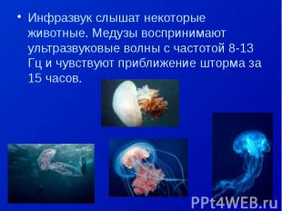 Инфразвук слышат некоторые животные. Медузы воспринимают ультразвуковые волны с