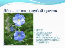 Лён – ленок голубой цветок