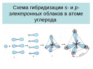 Схема гибридизации s- и p-электронных облаков в атоме углерода