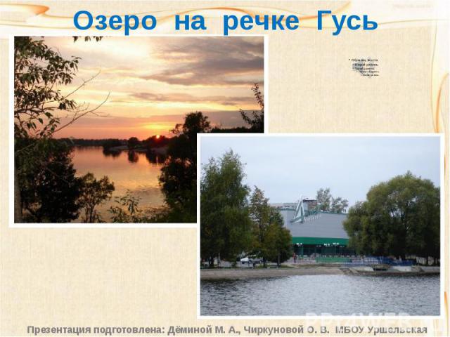 Озеро на речке Гусь