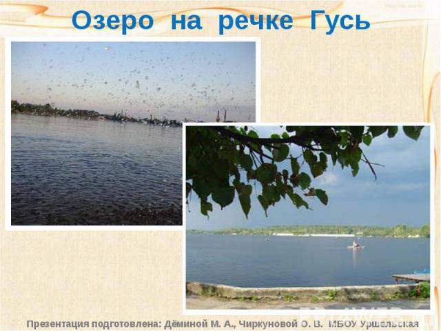 Озеро на речке Гусь