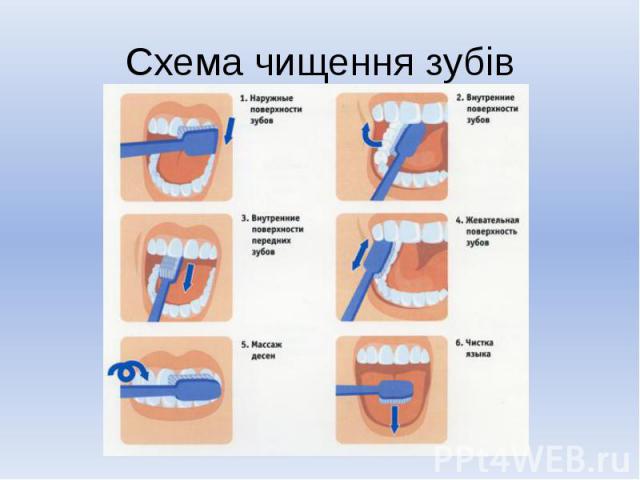 Схема чищення зубів