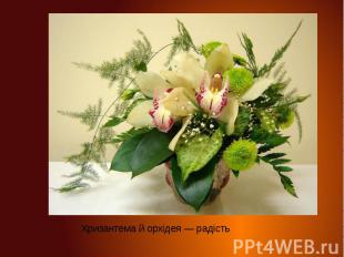 Хризантема й орхідея — радістьХризантема й орхідея — радість