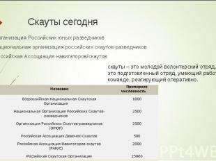 Организация Российских юных разведчиков Организация Российских юных разведчиков