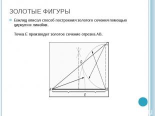 Евклид описал способ построения золотого сечения помощью циркуля и линейки. Точк