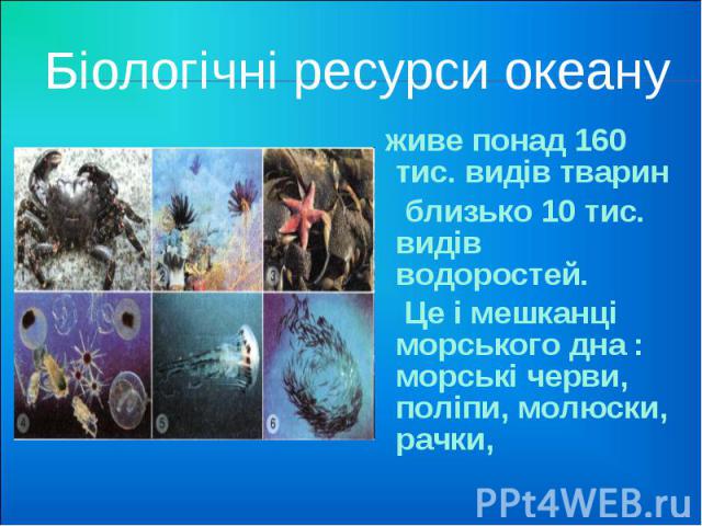 Біологічні ресурси океану живе понад 160 тис. видів тварин близько 10 тис. видів водоростей. Це і мешканці морського дна : морські черви, поліпи, молюски, рачки,