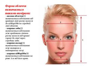 - висота обличчя(1) визначається відстанню від крайової лінії росту волосся до п
