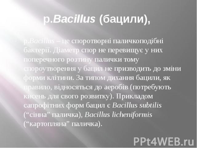 р.Bacillus (бацили), p.Bacillus – це споротворні паличкоподібні бактерії. Діаметр спор не перевищує у них поперечного розтину палички тому спороутворення у бацил не призводить до зміни форми клітини. За типом дихання бацили, як правило, відносяться …