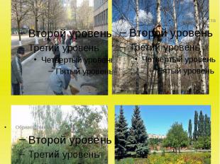 Щорічно серед учнівських колективів проходить акція “ Школа твій дім – ти господ