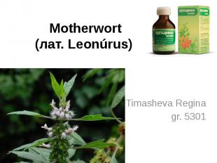 Motherwort (лат. Leonúrus) T