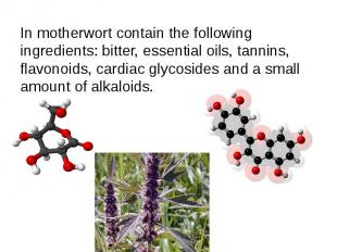 In motherwort contain the following ingredients: bitter, essential oils, tannins