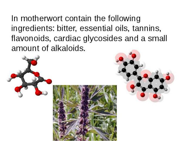 In motherwort contain the following ingredients: bitter, essential oils, tannins, flavonoids, cardiac glycosides and a small amount of alkaloids. In motherwort contain the following ingredients: bitter, essential oils, tannins, flavonoids, cardiac g…