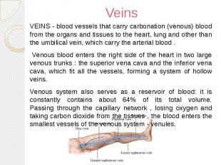 Veins VEINS - blood vessels that carry carbonation (venous) blood from the organ