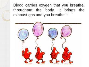 Blood carries oxygen that you breathe, throughout the body. It brings the exhaus