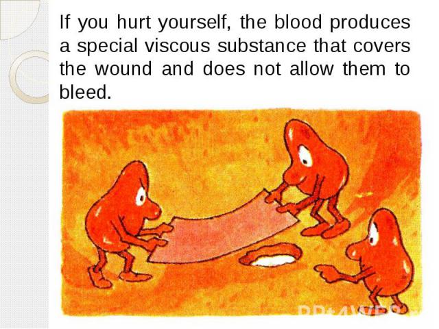 If you hurt yourself, the blood produces a special viscous substance that covers the wound and does not allow them to bleed. If you hurt yourself, the blood produces a special viscous substance that covers the wound and does not allow them to bleed.
