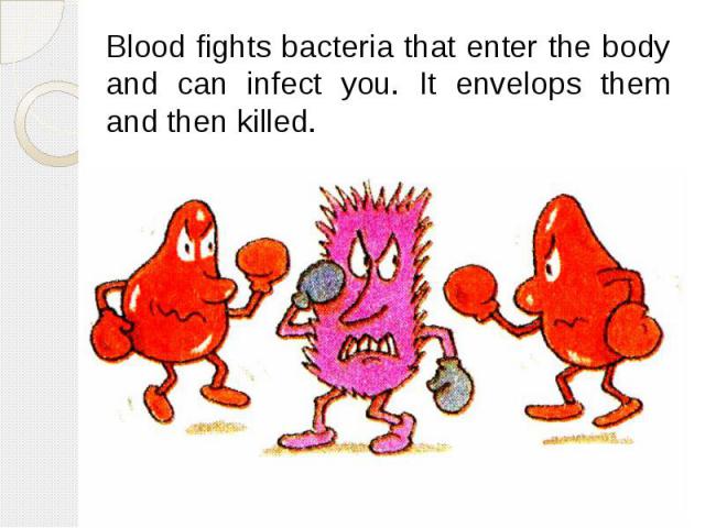 Blood fights bacteria that enter the body and can infect you. It envelops them and then killed. Blood fights bacteria that enter the body and can infect you. It envelops them and then killed.