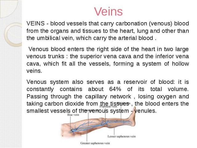 Veins VEINS - blood vessels that carry carbonation (venous) blood from the organs and tissues to the heart, lung and other than the umbilical vein, which carry the arterial blood . Venous blood enters the right side of the heart in two large venous …