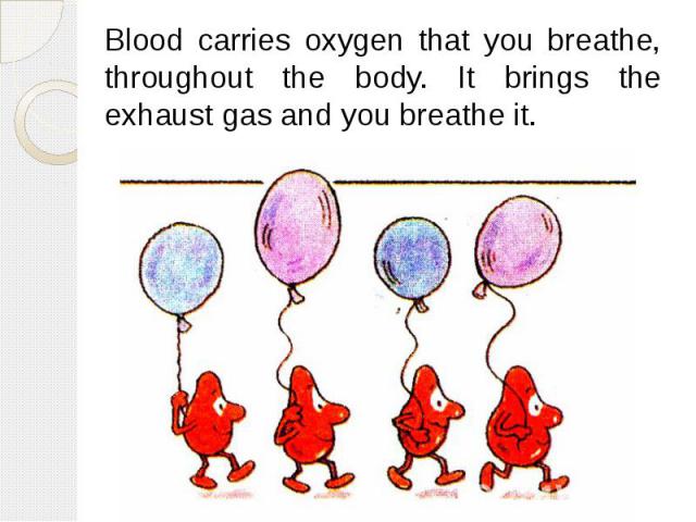 Blood carries oxygen that you breathe, throughout the body. It brings the exhaust gas and you breathe it. Blood carries oxygen that you breathe, throughout the body. It brings the exhaust gas and you breathe it.