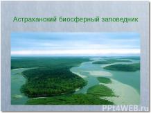 Астраханский биосферный заповедник