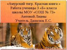 Амурский тигр. Красная книга.