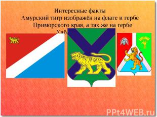 Интересные фактыАмурский тигр изображён на флаге и гербе Приморского края, а так
