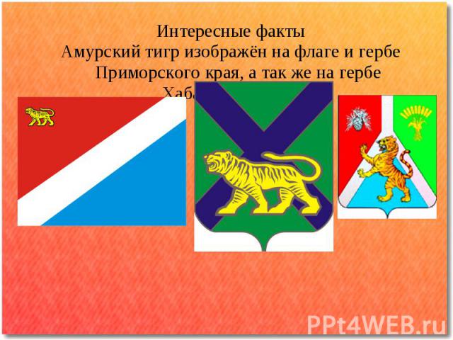 Интересные фактыАмурский тигр изображён на флаге и гербе Приморского края, а так же на гербе Хабаровского края.