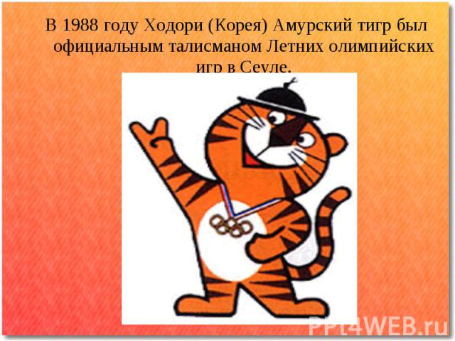 В 1988 году Ходори (Корея) Амурский тигр был официальным талисманом Летних олимпийских игр в Сеуле.