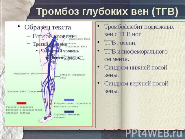 Тромбоз глубоких вен (ТГВ)Тромбофлебит подкожных вен с ТГВ ногТГВ голени.ТГВ илиофеморального сегмента.Синдром нижней полой вены.Синдром верхней полой вены.