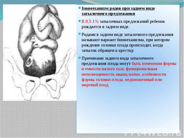 Биомеханизм родов при заднем виде затылочного предлежания Биомеханизм родов при заднем виде затылочного предлежания В 0,5-1% затылочных предлежаний ребенок рождается в заднем виде. Родами в заднем виде затылочного предлежания называют вариант биомех…