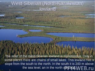 West-Siberian (North-Kazakhstan) lowland The relief of the West-Siberian lowland