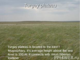 Turgay plateau Turgay plateau is located to the east f Mugodzhary. It’s average