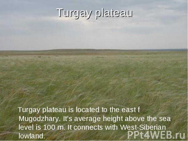 Turgay plateau Turgay plateau is located to the east f Mugodzhary. It’s average height above the sea level is 100 m. It connects with West-Siberian lowland.