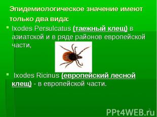 Эпидемиологическое значение имеют только два вида: Ixodes Persulcatus (таежный к