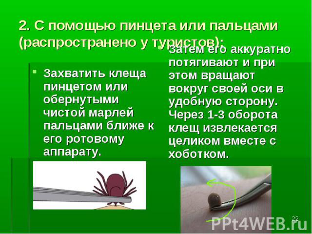 Захватить клеща пинцетом или обернутыми чистой марлей пальцами ближе к его ротовому аппарату. Захватить клеща пинцетом или обернутыми чистой марлей пальцами ближе к его ротовому аппарату.