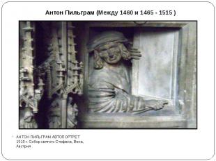 Антон Пильграм (Между 1460 и 1465 - 1515&nbsp;)АНТОН ПИЛЬГРАМ АВТОПОРТРЕТ 1510 г